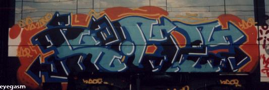 saer01.jpg